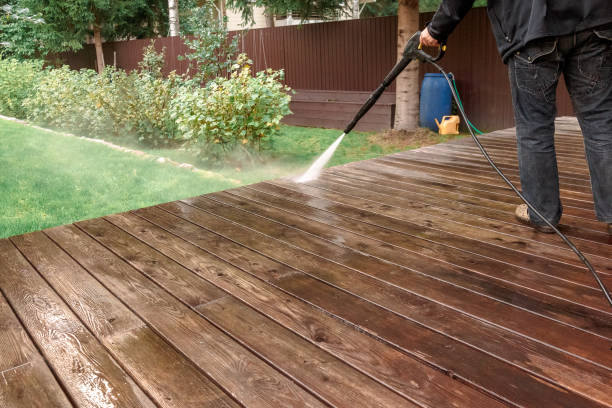 Best Fence Cleaning  in Lake Alfred, FL