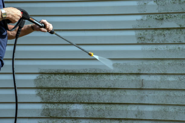Best House Exterior Washing  in Lake Alfred, FL