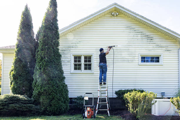 Best Dumpster Area Cleaning  in Lake Alfred, FL